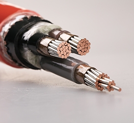 0.6,1KV 交联聚乙烯绝缘电力电缆 CJPF86 NC