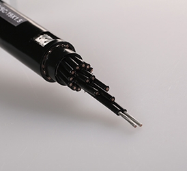 0.6,1KV 交联聚乙烯绝缘电力电缆 CJPF86 SC 19X1.5